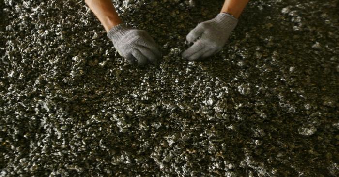 FILE PHOTO:  A worker displays nickel ore in a ferronickel smelter owned by state miner Aneka