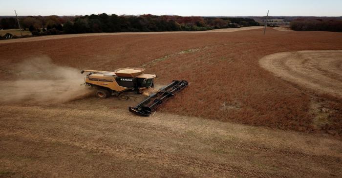 FILE PHOTO: Farmer Lucas Richard of LFR Grain harvests a crop of soybeans at a farm in Hickory