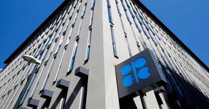 FILE PHOTO: The logo of the Organisation of the Petroleum Exporting Countries (OPEC) seen