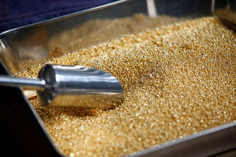 FILE PHOTO: Gold grain is seen before being melted into 1kg gold bars during a refining process